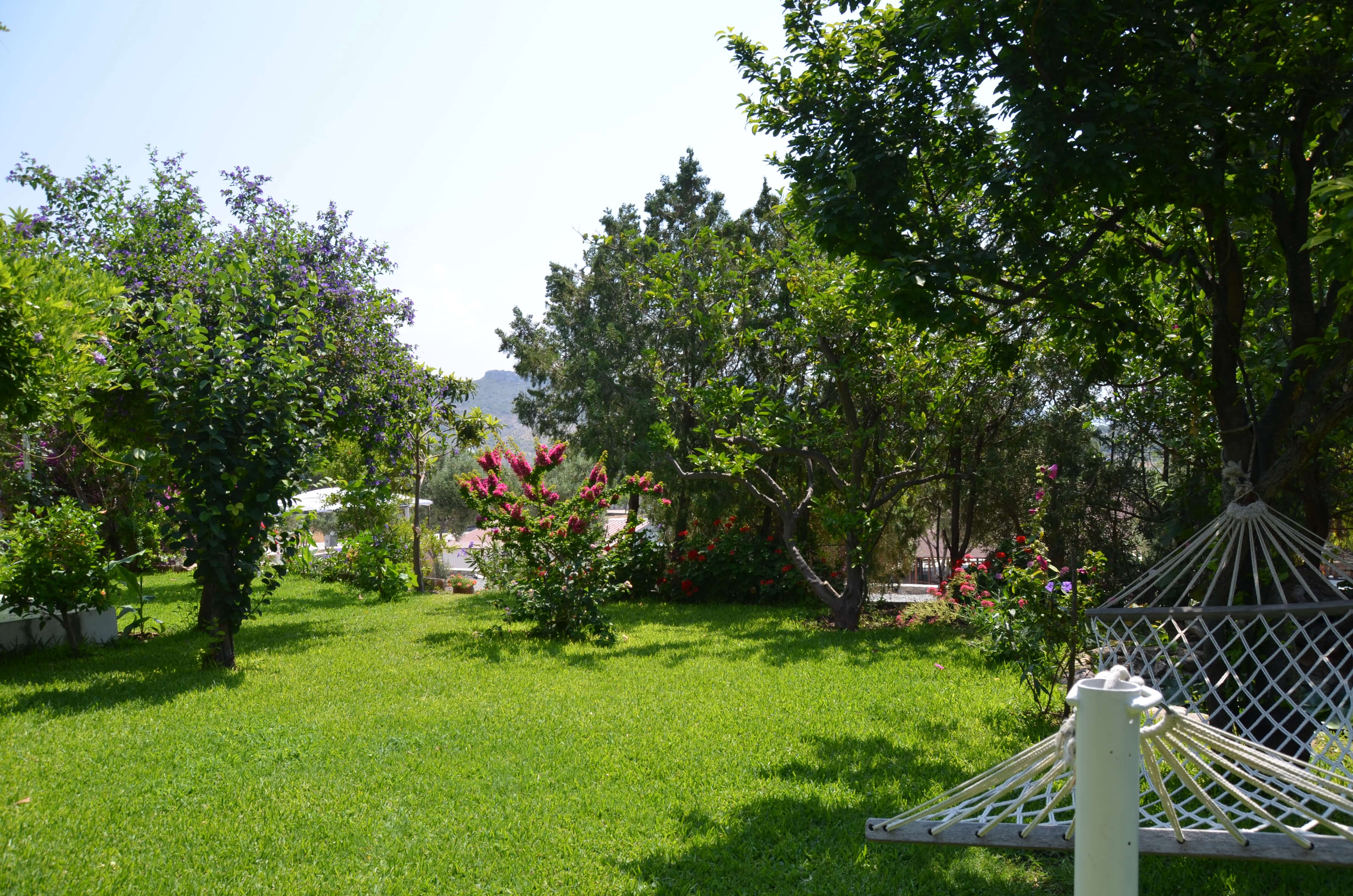 Sardunya oda fotoğrafı