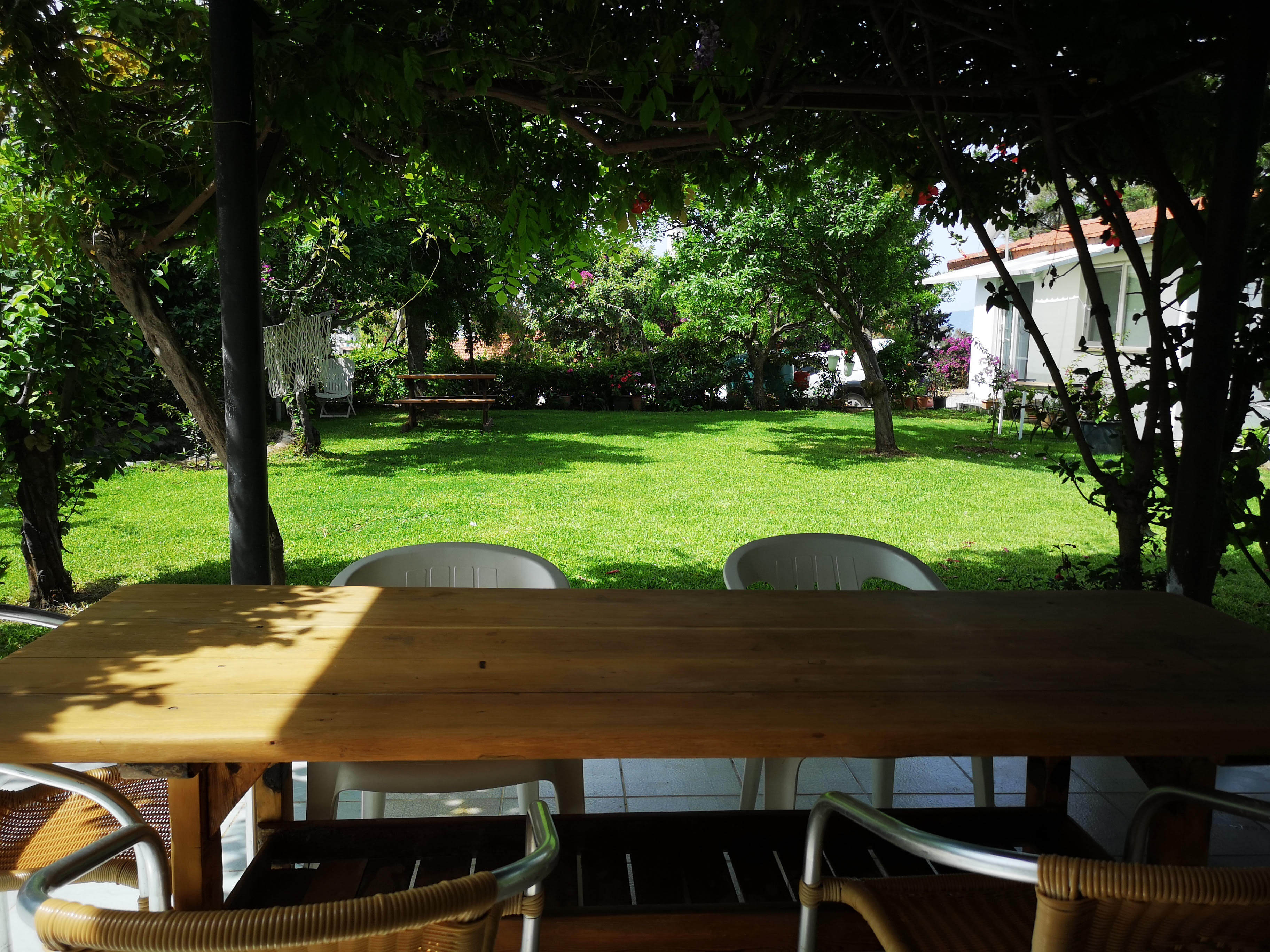 Sardunya oda fotoğrafı