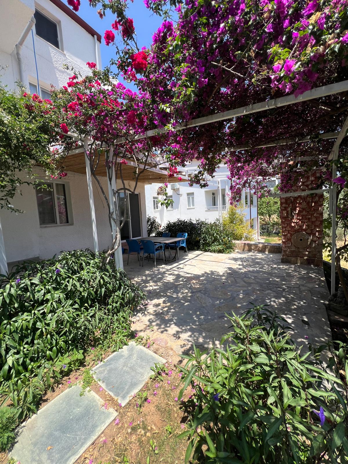 Zeytin oda fotoğrafı