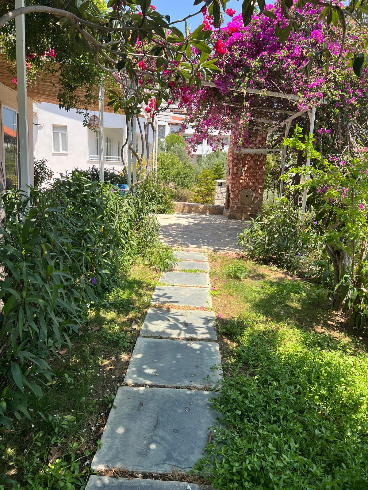 Zeytin oda fotoğrafı